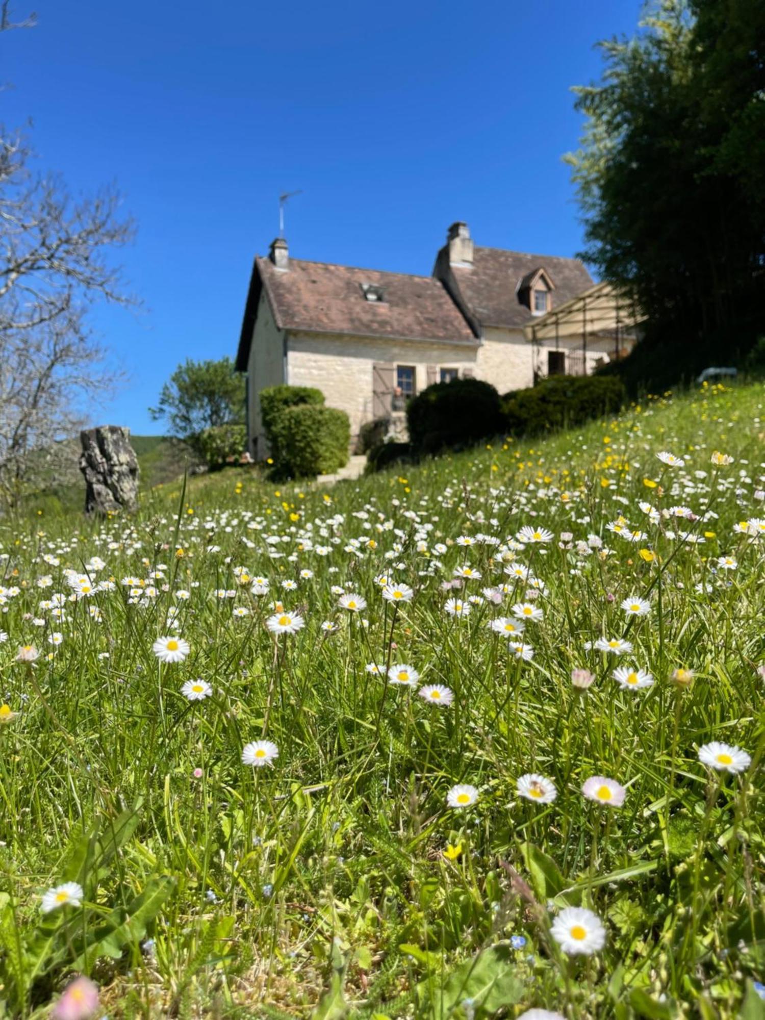Domaine Du Bonheur En Pierre Avec Piscine, Proche Sarlat Villa Carlux Exterior photo
